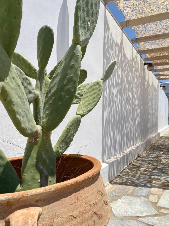 Fikas Hotel Naxos City Extérieur photo